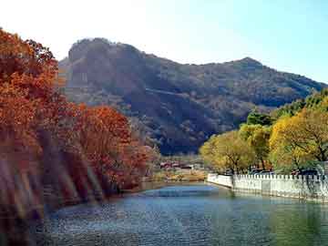 澳門明星大偵探產(chǎn)業(yè)創(chuàng)新視角下的精彩回顧與實(shí)時(shí)交流韓語熱議