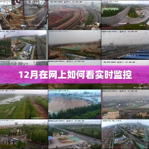 12月網上實時監(jiān)控觀看攻略