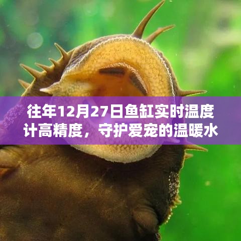 往年12月27日高精度魚缸溫度計(jì)，守護(hù)寵物溫暖水域