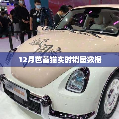 第1307頁