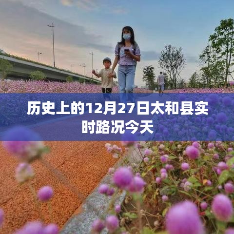 歷史上的太和縣今日實(shí)時(shí)路況回顧，12月27日路況播報(bào)