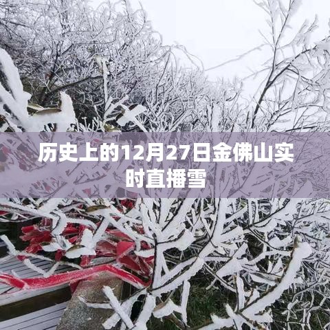 金佛山雪景直播回顧，歷史上的雪韻風(fēng)華