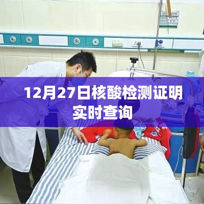 12月27日核酸檢測(cè)結(jié)果實(shí)時(shí)查詢(xún)系統(tǒng)