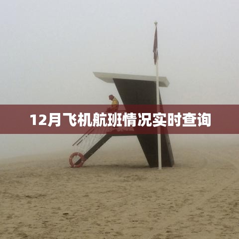 12月飛機(jī)航班實(shí)時(shí)查詢情況更新