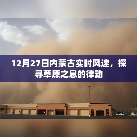 12月27日內蒙古風速實時更新，草原風息律動探索