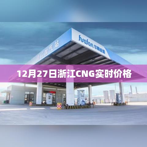 浙江CNG實(shí)時價格走勢分析（最新數(shù)據(jù)）