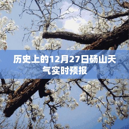 碭山歷史天氣回顧，12月27日實時天氣預報