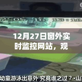 窗外觀察體驗，實時網(wǎng)站的深度思考之旅