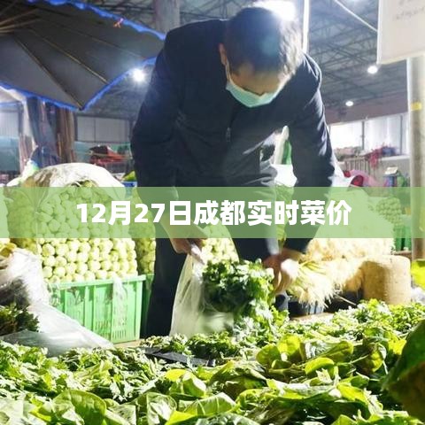 成都最新菜價(jià)，12月27日實(shí)時(shí)更新
