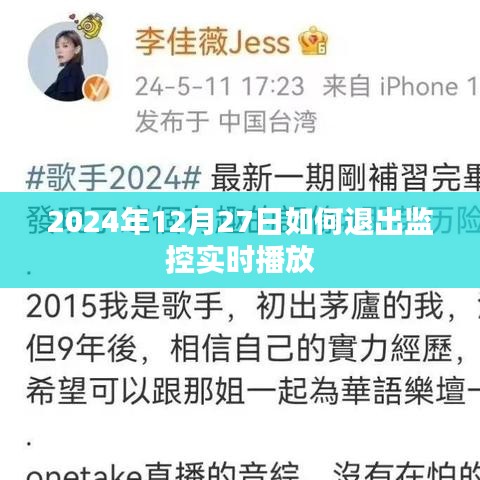 退出監(jiān)控實時播放的方法與步驟