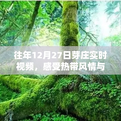 忠心耿耿 第3頁(yè)