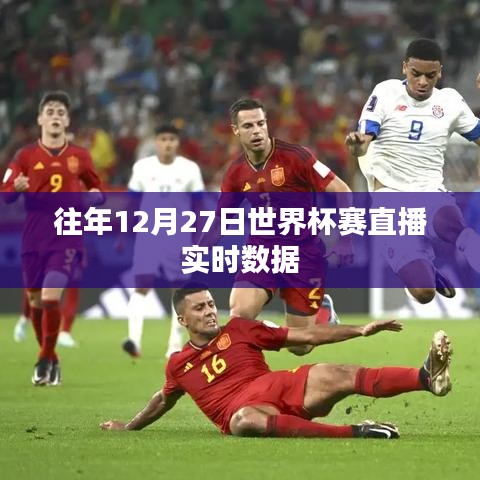 世界杯賽直播歷年數(shù)據(jù)回顧，歷年世界杯賽直播實時數(shù)據(jù)解析