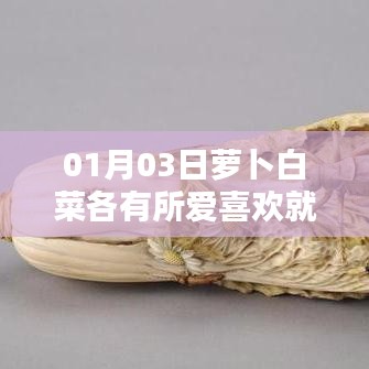 蘿卜白菜各有所愛，喜好至上，情感至上