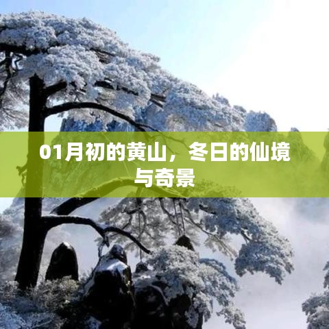 黃山冬景奇觀，仙境般的初冬畫卷