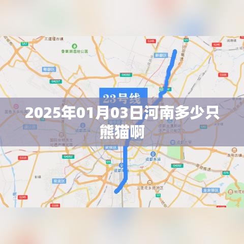 河南熊貓數(shù)量統(tǒng)計，探尋熊貓家園的奧秘