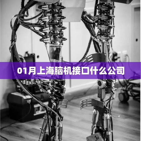 上海腦機接口領(lǐng)先企業(yè)一覽
