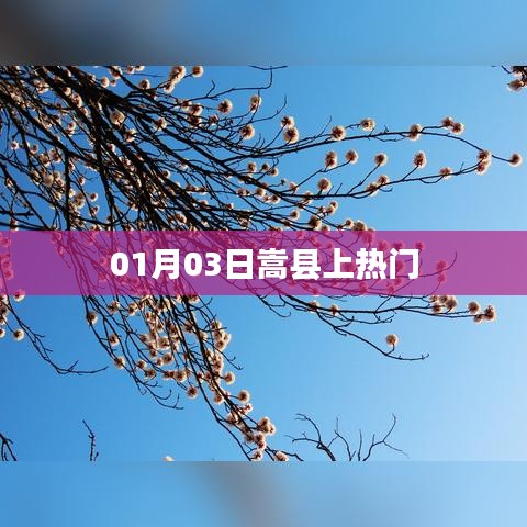 嵩縣上熱搜，最新消息揭秘！