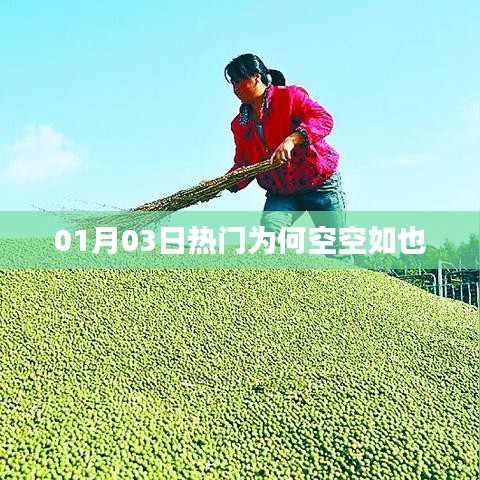 01月03日熱門為何無內(nèi)容展示？