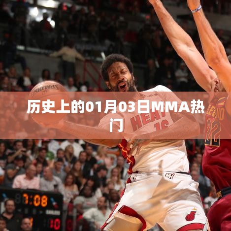 歷史上的MMA熱門(mén)事件，一月三日回顧