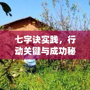 七字訣實踐，行動關(guān)鍵與成功秘訣