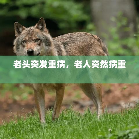 老頭突發(fā)重病，老人突然病重