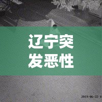 遼寧突發(fā)惡性刑案，遼寧行兇
