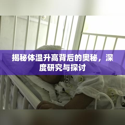 揭秘體溫升高背后的奧秘，深度研究與探討