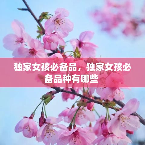 獨(dú)家女孩必備品，獨(dú)家女孩必備品種有哪些