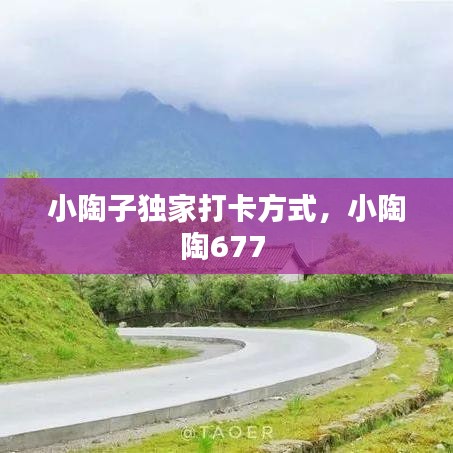 小陶子獨(dú)家打卡方式，小陶陶677