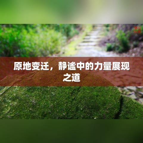 原地變遷，靜謐中的力量展現(xiàn)之道
