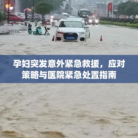 秀外慧中 第3頁