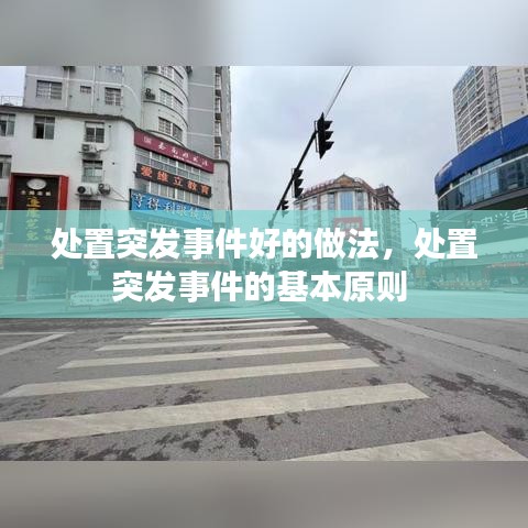 處置突發(fā)事件好的做法，處置突發(fā)事件的基本原則