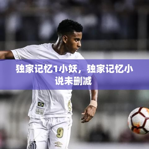 獨家記憶1小妖，獨家記憶小說未刪減