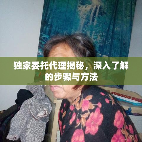 獨(dú)家委托代理揭秘，深入了解的步驟與方法