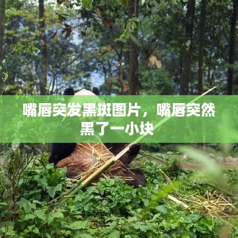 嘴唇突發(fā)黑斑圖片，嘴唇突然黑了一小塊
