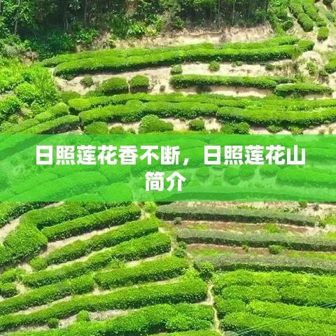 日照蓮花山，探秘連綿不絕的蓮花香