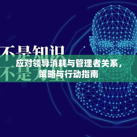 應(yīng)對領(lǐng)導(dǎo)消耗與管理者關(guān)系，策略與行動指南