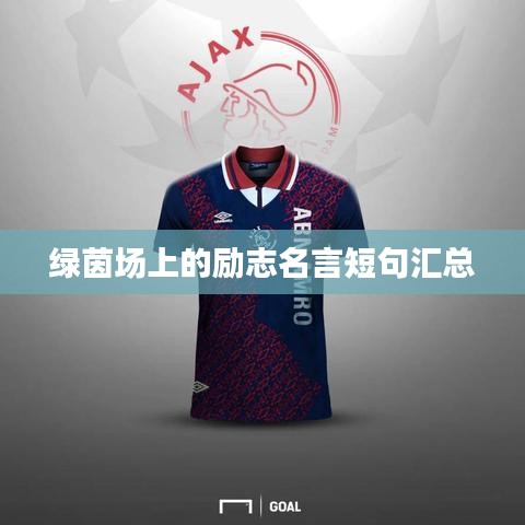 綠茵場(chǎng)上的勵(lì)志名言短句匯總