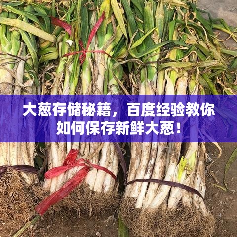 大蔥存儲(chǔ)秘籍，百度經(jīng)驗(yàn)教你如何保存新鮮大蔥！