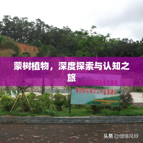 蒙樹植物，深度探索與認知之旅