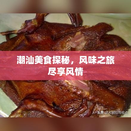 潮汕美食探秘，風(fēng)味之旅盡享風(fēng)情