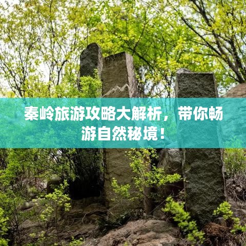 秦嶺旅游攻略大解析，帶你暢游自然秘境！