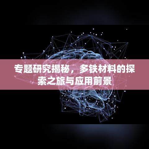 專題研究揭秘，多鐵材料的探索之旅與應(yīng)用前景