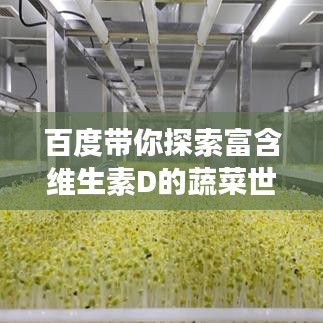 百度帶你探索富含維生素D的蔬菜世界，領(lǐng)略豐富菜籃子，健康每一天！