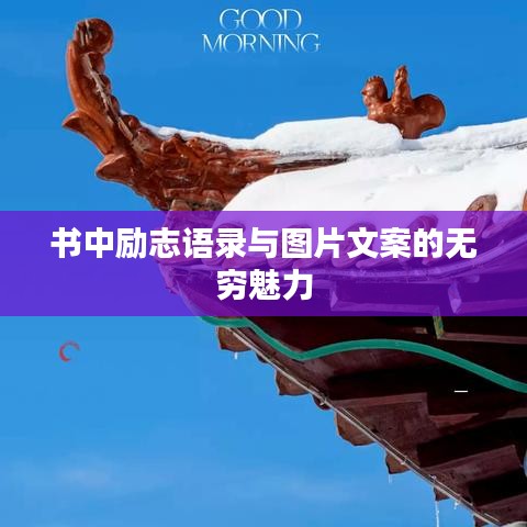 書(shū)中勵(lì)志語(yǔ)錄與圖片文案的無(wú)窮魅力