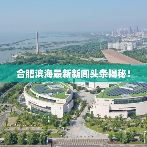 合肥濱海最新新聞頭條揭秘！