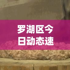 羅湖區(qū)今日動(dòng)態(tài)速遞，最新情況一覽