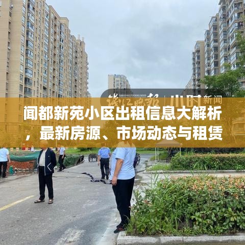 聞都新苑小區(qū)出租信息大解析，最新房源、市場動態(tài)與租賃策略全掌握