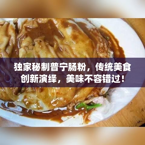 獨(dú)家秘制普寧腸粉，傳統(tǒng)美食創(chuàng)新演繹，美味不容錯(cuò)過！