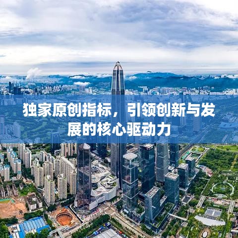 獨家原創(chuàng)指標，引領創(chuàng)新與發(fā)展的核心驅(qū)動力